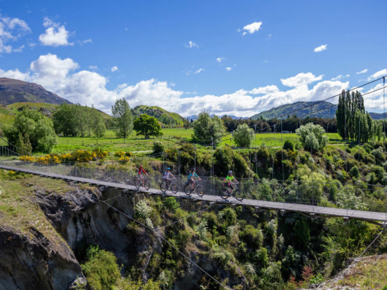 mtb riding over the many bridges along the queenstown trail