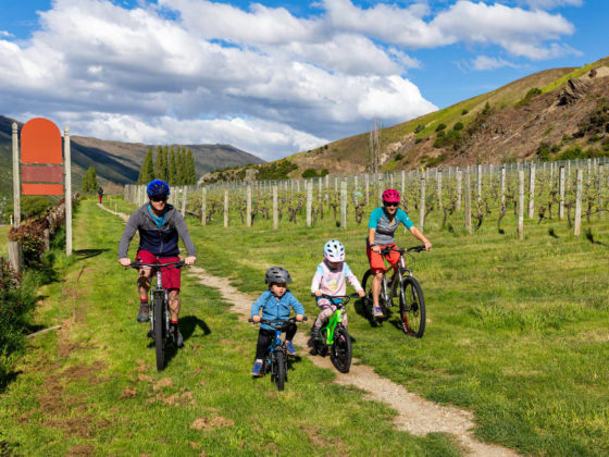 Family bike riding through the wineries of queenstown